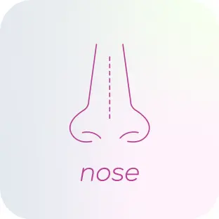 nose